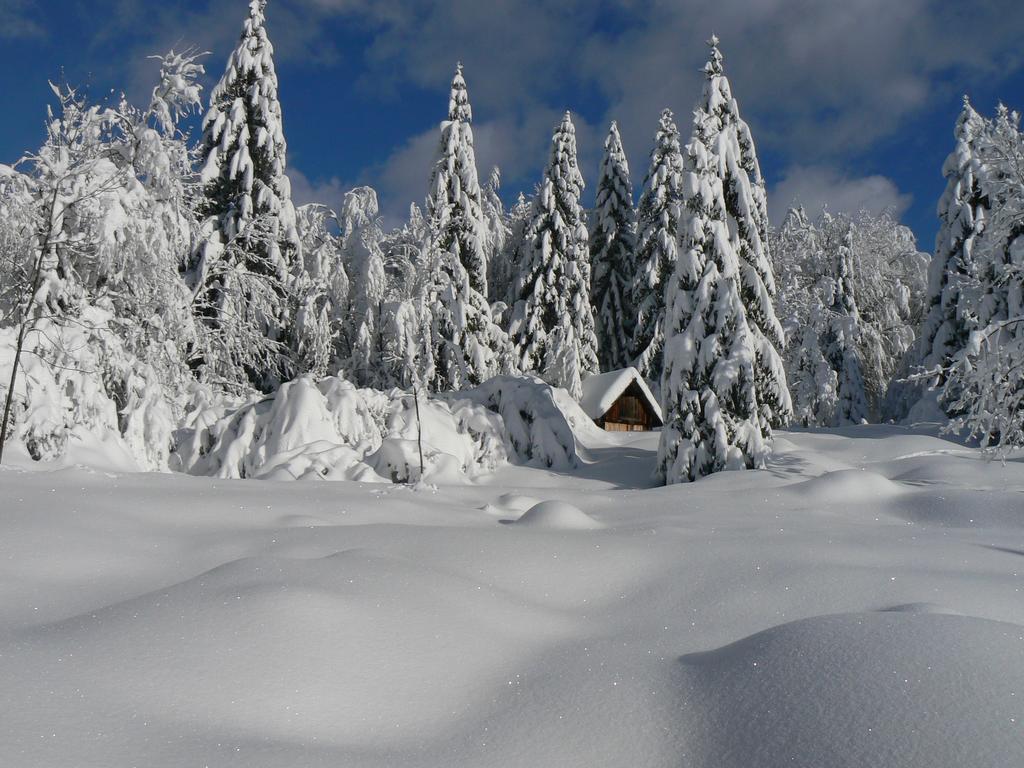 Hiska Henrik Zalokar Apartment Bohinj Luaran gambar