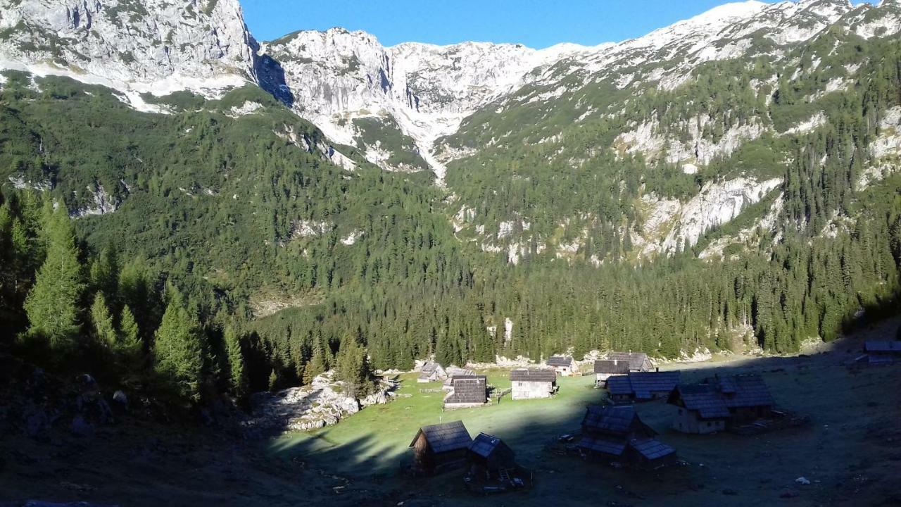 Hiska Henrik Zalokar Apartment Bohinj Luaran gambar